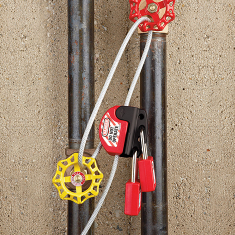 ���{���|�K�iʹ�ÈD